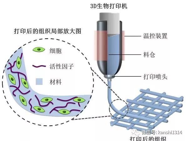 肖磊：资本主义的终结者可能是区块链技术/