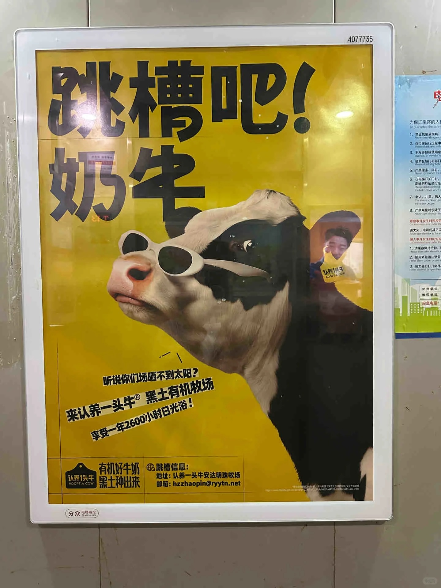 9298e77996687385936025435cacfc8b~tplv-tt-origin-web_gif.jpg